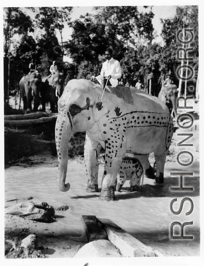 Local people in Burma near the 797th Engineer Forestry Company--men riding elephants, assisting in logging in some cases.  During WWII.