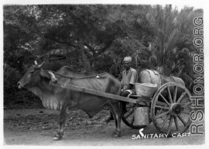 Ox pulling "sanitary cart" with barrel for storage.  Scenes in India witnessed by American GIs during WWII. For many Americans of that era, with their limited experience traveling, the everyday sights and sounds overseas were new, intriguing, and photo worthy.