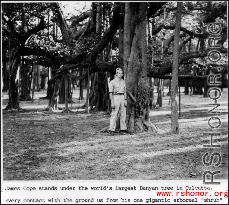 James Cope stands under extensive Banyan tree in Calcutta during WWII.