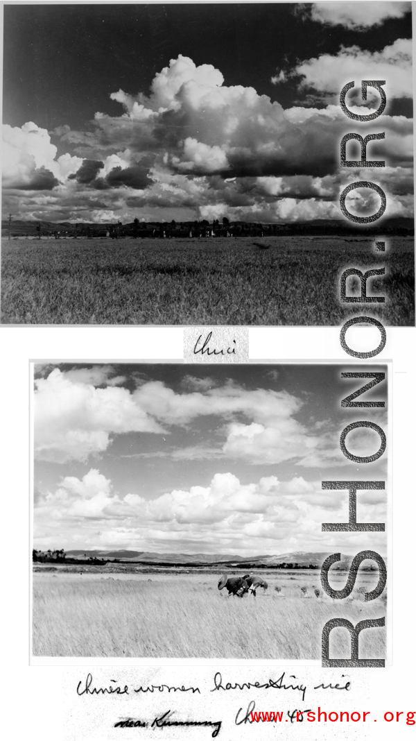 Rural scenes in harvest season near Kunming, China, 1945.