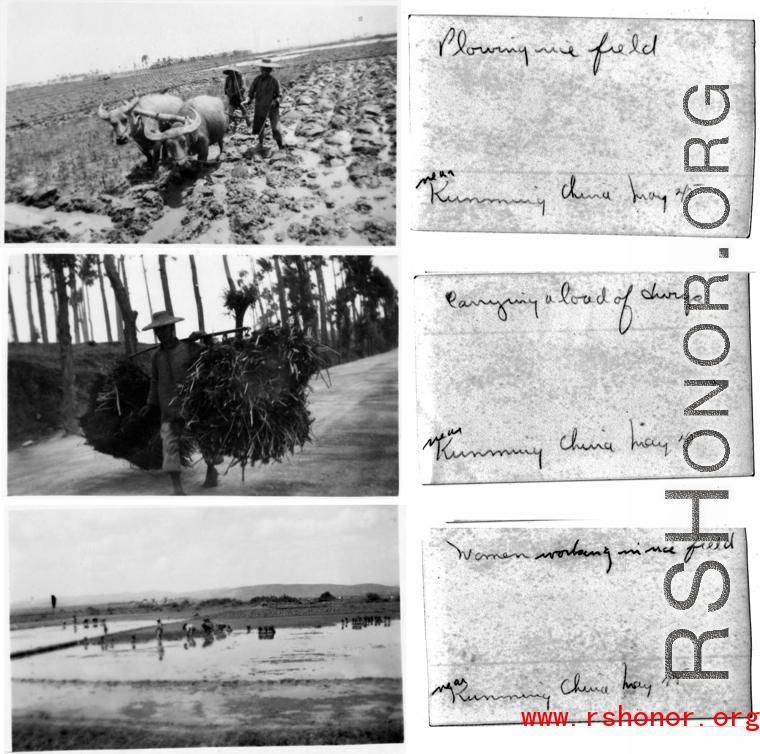 Rural life near Kunming, 1945.