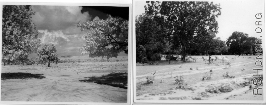 Rural countryside.  Scenes in India witnessed by American GIs during WWII. For many Americans of that era, with their limited experience traveling, the everyday sights and sounds overseas were new, intriguing, and photo worthy.