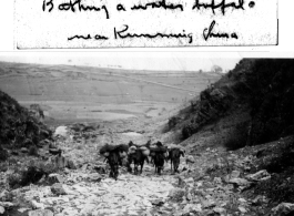 Water buffalo in water near Kunming, and pack horses climbing steep path above Camp Schiel, during WWII.