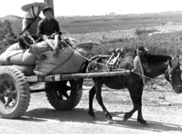 A horse-drawn cart with truck wheels somewhere in China during WWII.