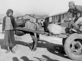 Chinese family hauling items by donkey cart  on an American base poses for the camera. In China during WWII.