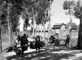 Farmers carry goods---vegetables---on shoulder poles, near Kunming, China, during WWII.