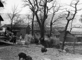 Local people and village in Yunnan province, China. During WWII.