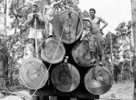 797th Engineer Forestry Company in Burma, loading logs for milling for bridge building along the Burma Road.  During WWII.