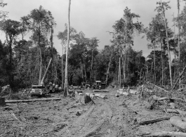 797th Engineer Forestry Company in Burma, loading logs for milling for bridge building along the Burma Road.  During WWII.