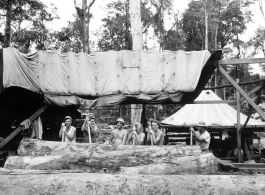 GIs wranging logs towards saw with cant pikes at a lumber mill of the 797th Engineer Forestry Company in Burma.  During WWII.