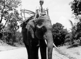 Local people in Burma near the 797th Engineer Forestry Company--man riding elephant, assisting in logging in some cases.  During WWII.