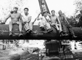 Engineers of the 797th Engineer Forestry Company pose on a log hoisted into the air by a tracked loader.  During WWII.