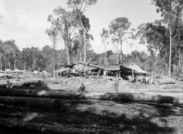 Site at the mill yard, a tracked loader feeding logs to saw line at a lumber mill of the 797th Engineer Forestry Company in Burma.  During WWII.