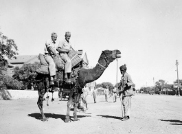 GIs riding camel in Burma or India.  Near the 797th Engineer Forestry Company.  During WWII.