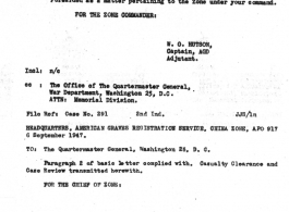 Individual Deceased Personnel File (IDPF) for Albert L. Haynes, MIA, China.