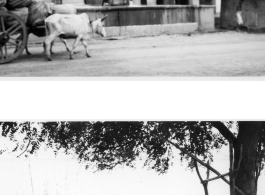 Man pulls water up from well (top), and men work metal with hand bellows (bottom).  Scenes in India witnessed by American GIs during WWII. For many Americans of that era, with their limited experience traveling, the everyday sights and sounds overseas were new, intriguing, and photo worthy.