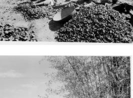 People crushing rocks by hand (top), and boy herding cows (bottom).  Scenes in India witnessed by American GIs during WWII. For many Americans of that era, with their limited experience traveling, the everyday sights and sounds overseas were new, intriguing, and photo worthy.