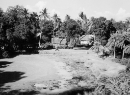 Tropical village with large pond.  Scenes in India witnessed by American GIs during WWII. For many Americans of that era, with their limited experience traveling, the everyday sights and sounds overseas were new, intriguing, and photo worthy.