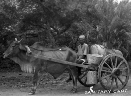 Ox pulling "sanitary cart" with barrel for storage.  Scenes in India witnessed by American GIs during WWII. For many Americans of that era, with their limited experience traveling, the everyday sights and sounds overseas were new, intriguing, and photo worthy.