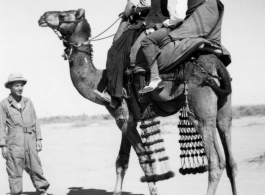 Men ride camel as a GI looks on.  Scenes in India witnessed by American GIs during WWII. For many Americans of that era, with their limited experience traveling, the everyday sights and sounds overseas were new, intriguing, and photo worthy.