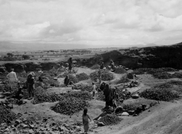 People crush rocks by hand.  Scenes in India witnessed by American GIs during WWII. For many Americans of that era, with their limited experience traveling, the everyday sights and sounds overseas were new, intriguing, and photo worthy.