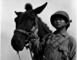 Chinese soldier with mule.