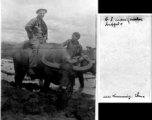 GI riding water buffalo near Kunming, China, during WWII, while young Chinese farmer helps (and tolerates).