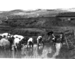 Chinese soldiers work with local women to transplant rice sprouts in the spring, next to bunker-protected military buildings in Yunnan province, during WWII.