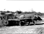 Ox cart in China during WWII.