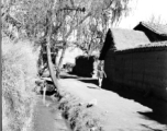 Local people in China: A youth walks a path through a village during WWII.