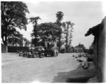 Local people in a village in Yunnan province, China loading or unloading a truck, with lumber and/or farm goods and livestock. During WWII.