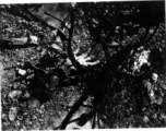 The horrors and costs of war--A severed human hand lies among the burned and melted wreckage of an airplane crash in the CBI during WWII.