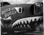The B-24 "Buzz-Z Buggy".   From the collection of Robert H. Zolbe.
