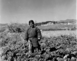 Local people in China: A woman stands among cabbage plants in Yunnan, China, during WWII.