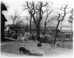 Local people and village in Yunnan province, China. During WWII.