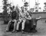 GI explorations of the hostel area at Yangkai air base during WWII: A flyer and Eugene Wozniak (right) sit on an ox in the hostel area, drinking beer.