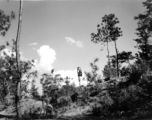 GIs adventuring among pines at Yangkai air base during WWII--The GI is using a movie camera.