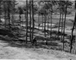 GI explorations of the hostel area at Yangkai air base during WWII: A GI interacts with a child in a pine grove.