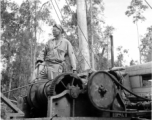 GIs moving logs using spar tree in Burma.  During WWII.  797th Engineer Forestry Company.