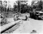 GIs cutting bucking downed trees in Burma for lumber mill.  During WWII.  797th Engineer Forestry Company.