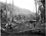 Site at the mill yard, including wranging logs towards saw with cant hooks at a lumber mill of the 797th Engineer Forestry Company in Burma.  During WWII.