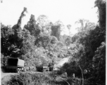797th Engineer Forestry Company in Burma: Trucks wait for work on section of corduroy road over muddy patch on the Burma Road.  During WWII.