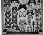 GI insect and butterfly collection in Burma.  During WWII.  797th Engineer Forestry Company.