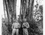 Engineers of the 797th Engineer Forestry Company pose before bamboo in Burma.  During WWII.