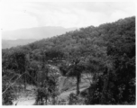 A tent camp in the forest of the 797th Engineer Forestry Company in Burma.  During WWII.