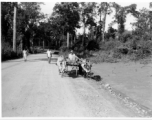 Ox cart in Burma or India.  Near the 797th Engineer Forestry Company.  During WWII.