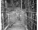 Men, likely Indian soldiers, on a vine and branch bridge in Burma or India.  Near the 797th Engineer Forestry Company.  During WWII.