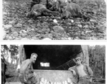 Engineers of the 797th Engineer Forestry Company pose with their catch after a round of huntin' and fishin' in Burma.  During WWII.