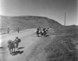 A mule train in Yunnan province, China.