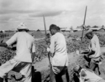 Local laborers dig in India during WWII.